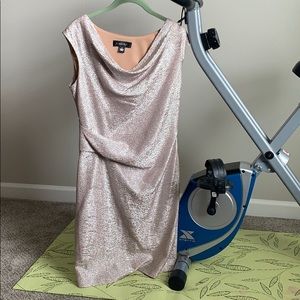 Scarlett Champagne Dress Size 8